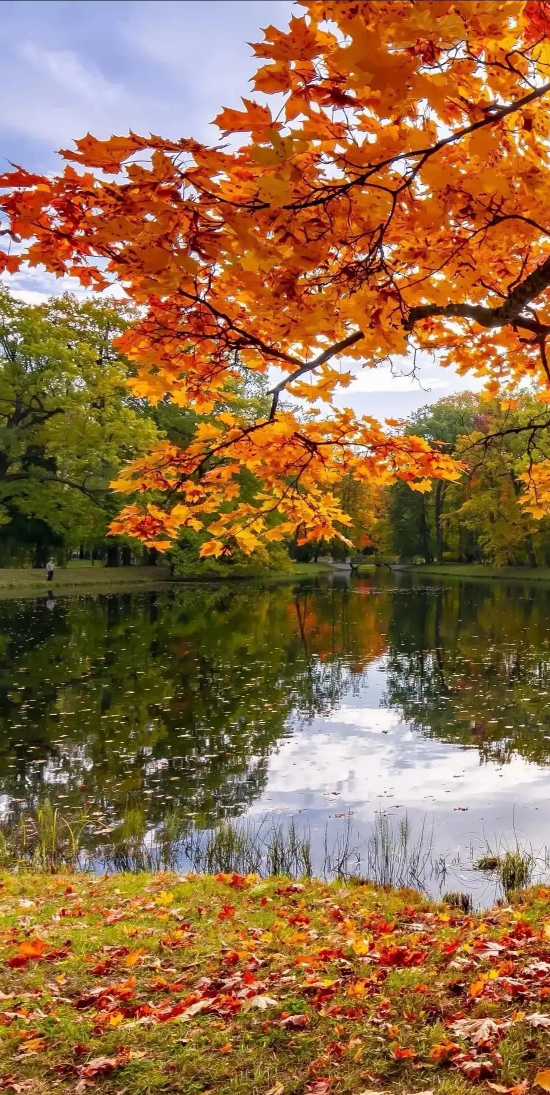 妈妈，我们总是把你藏在你的心里。