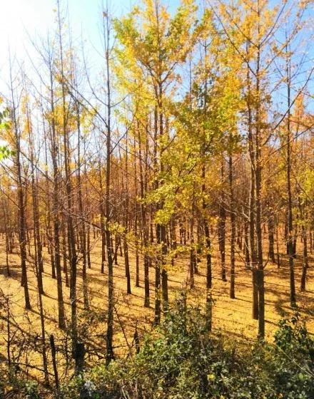 昆明最值得打卡的100个地方！你去过几个？