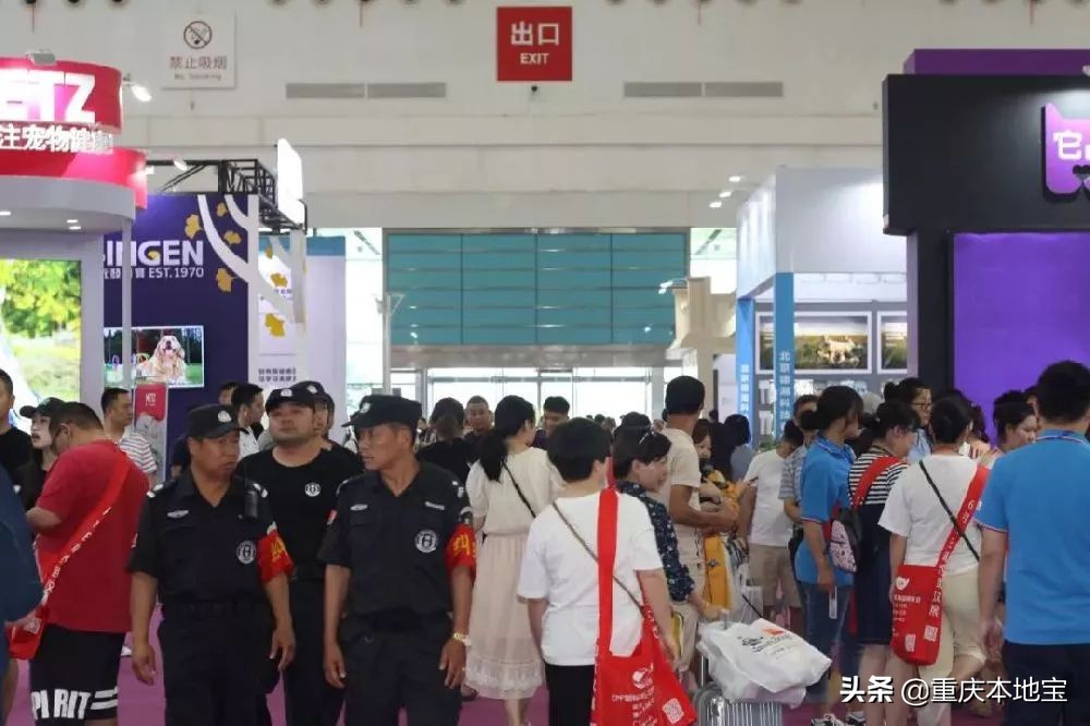 一大波萌宠来袭！国际宠博会落地重庆！还有限量免费门票可以领