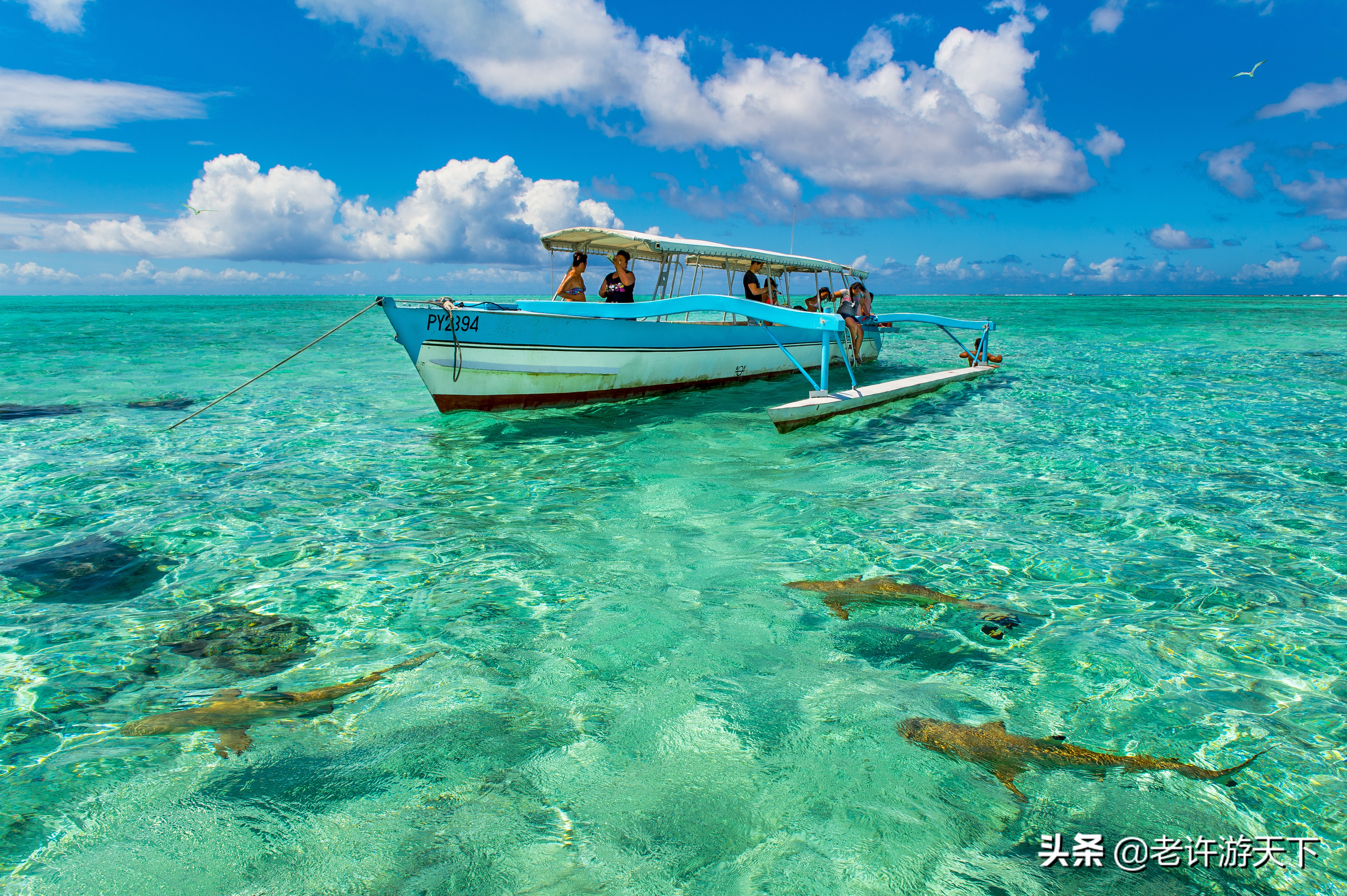 世界十大海岛旅游胜地（世界10个美丽海岛堪称度假胜地）