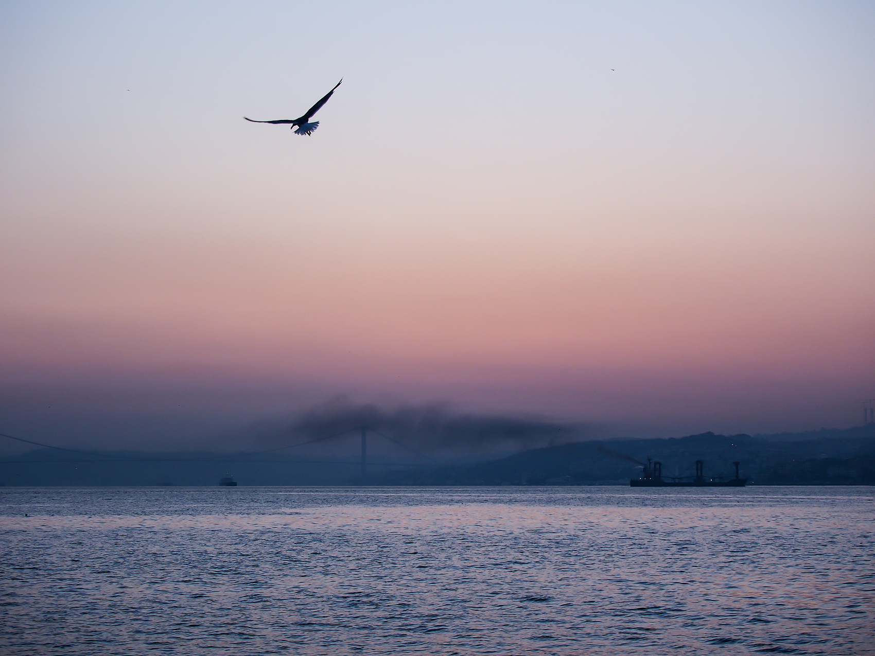 这是国内最神秘的大学，隶属于中共中央办公厅，毕业就是公务员