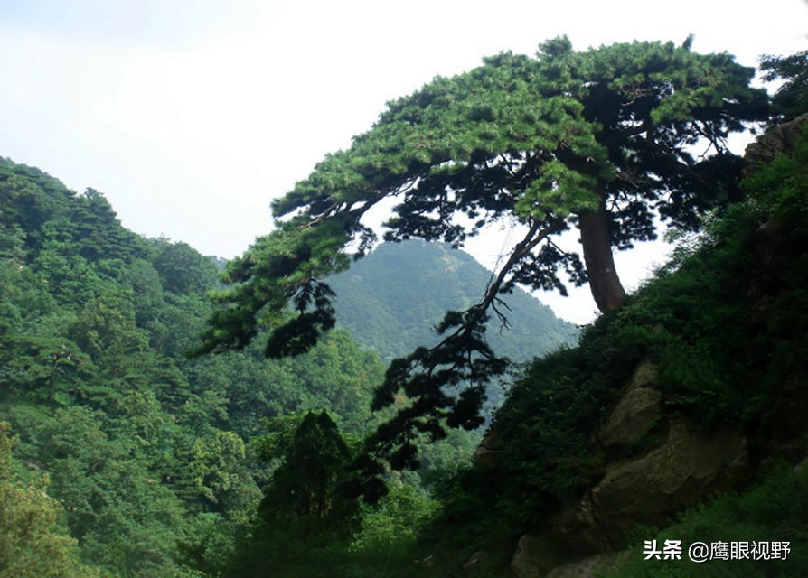 泰山除了自然景觀,文化內涵也十分厚重,其中以帝王的封禪和書法藝術為