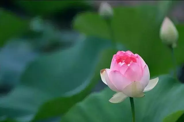 挣钱再多有啥用？都看看吧 人生感悟成功励志口才语录