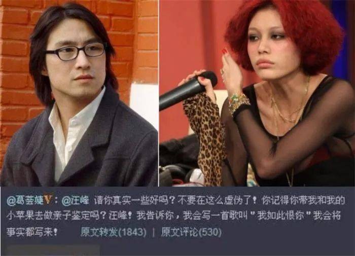 2011年,葛荟婕爆出汪峰曾带小苹果做亲子鉴定,言语中透露着汪峰怀疑