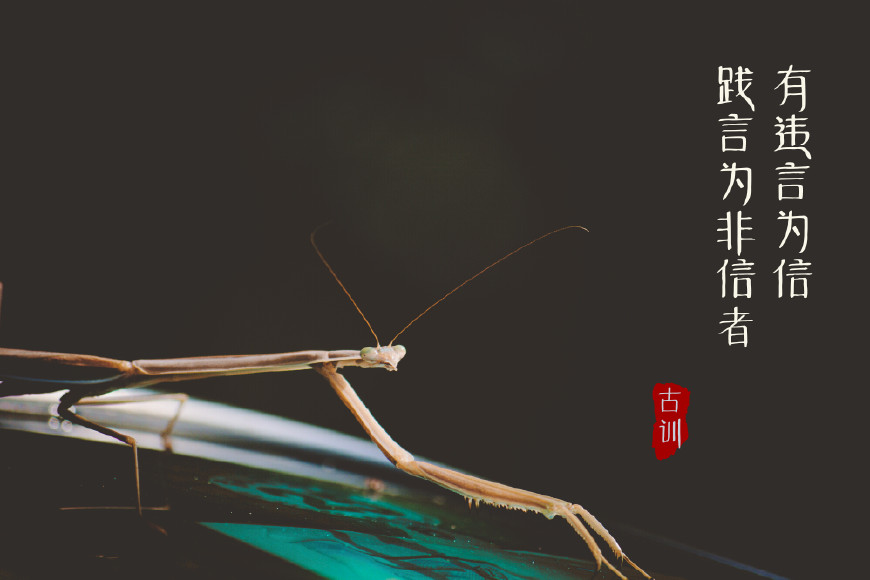 古人五句金言，道破克制小人的绝技！