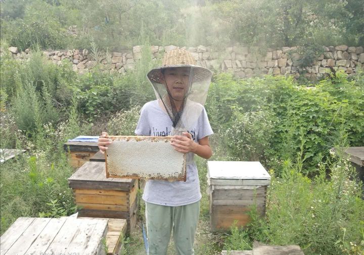 百香果柠檬水的功效与作用（百香果柠檬水的妙用之处）