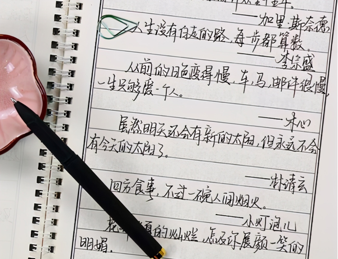 要做到字体规范清晰可见大多数的学生在平时写字的时候,都特别的随意