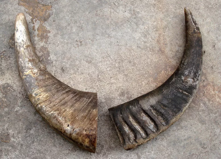 角字家族：解懈蟹邂确榷，千年古镇解州的“解”原来不读xiè