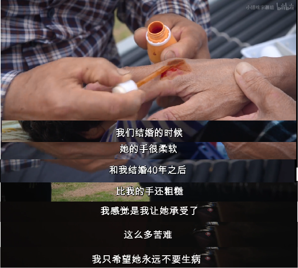 520特刊：这对老夫妻的每一天，都让人直呼“这就是爱情本身吧”