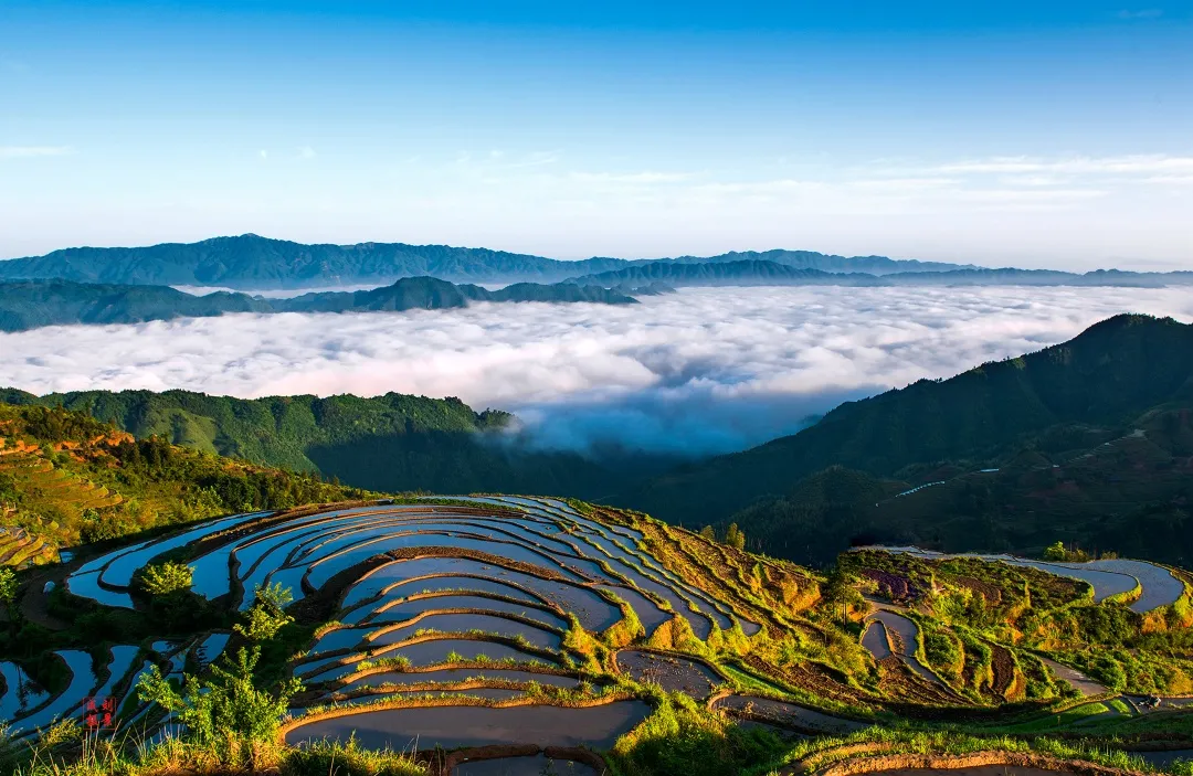 桃江雪峰山图片