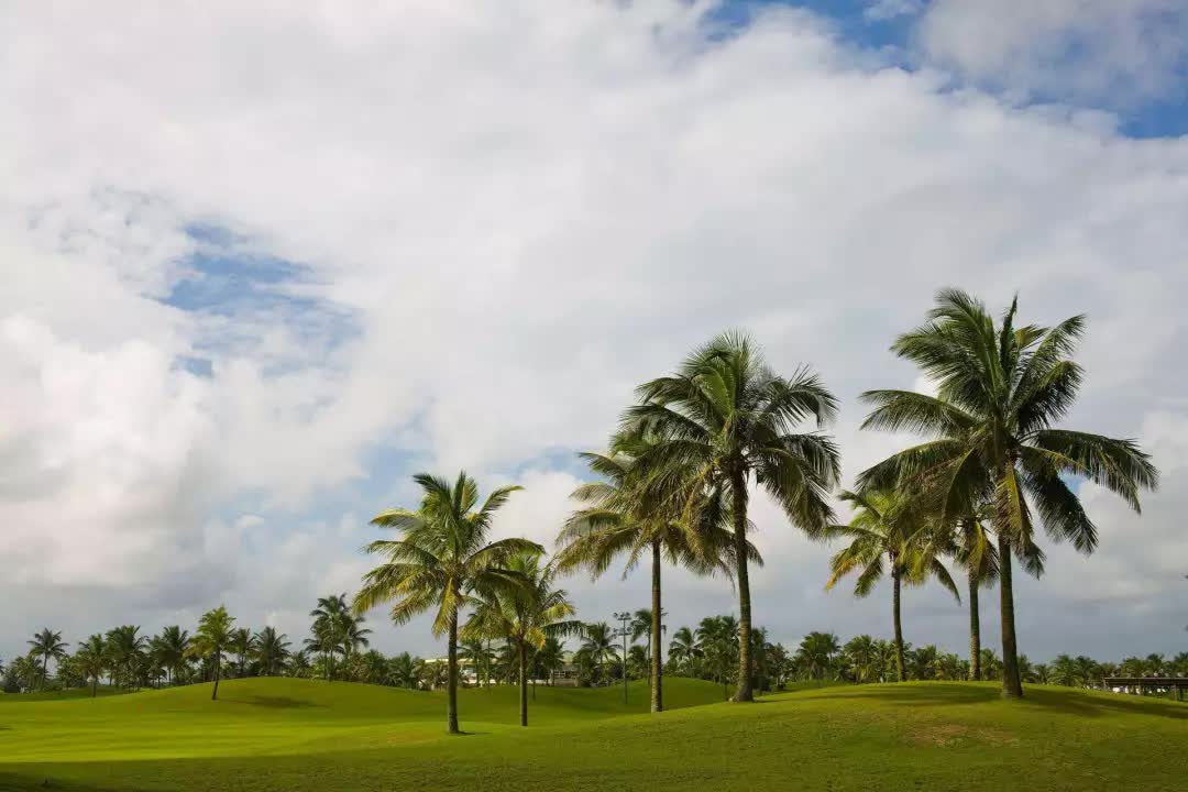 海口旅游景点 海口一日游必去景点-徐拾记官网