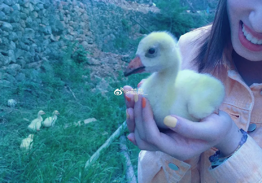《人 間 值 得 清 單》