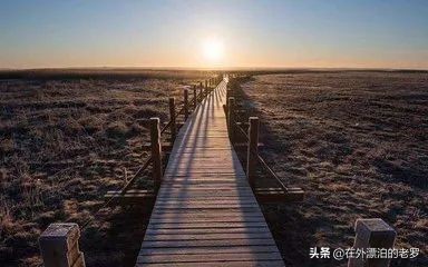 浙大毕业的李红涛，他是天之骄子为何沦为“死刑犯”后面又被释放