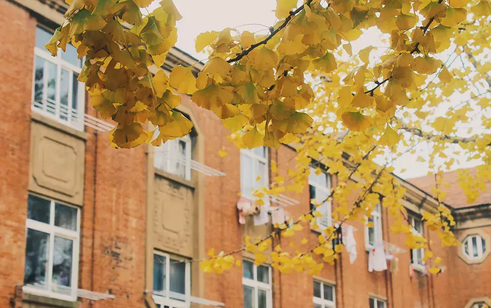 开学了，去青岛最美大学去逛一逛吧，个个堪比5A级景区