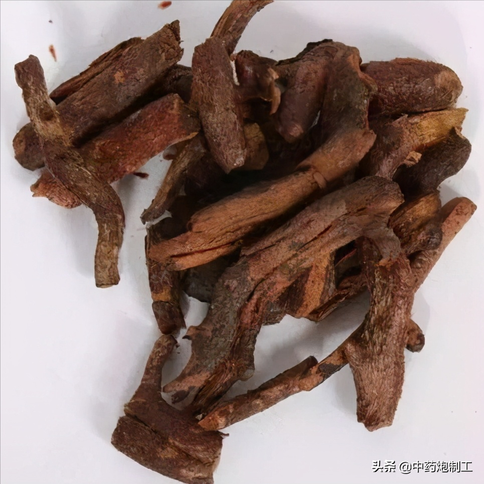 烫骨碎补是什么东西（中草药的烫法教程分享）