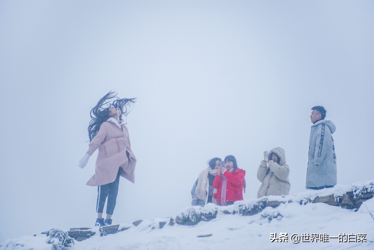 牛背山封了，四人同太苦，还好有亚洲第二360°观景平台满足一切