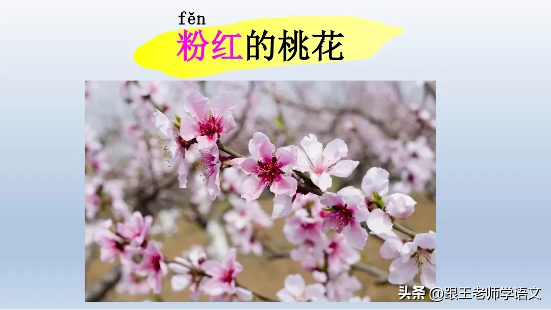 部编语文一年级下册4、四个太阳+朗读+知识点+图文解读