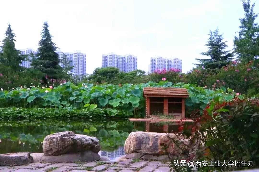 成果亮相阅兵式，走出航空首席专家！揭秘西安工大“硬”实力