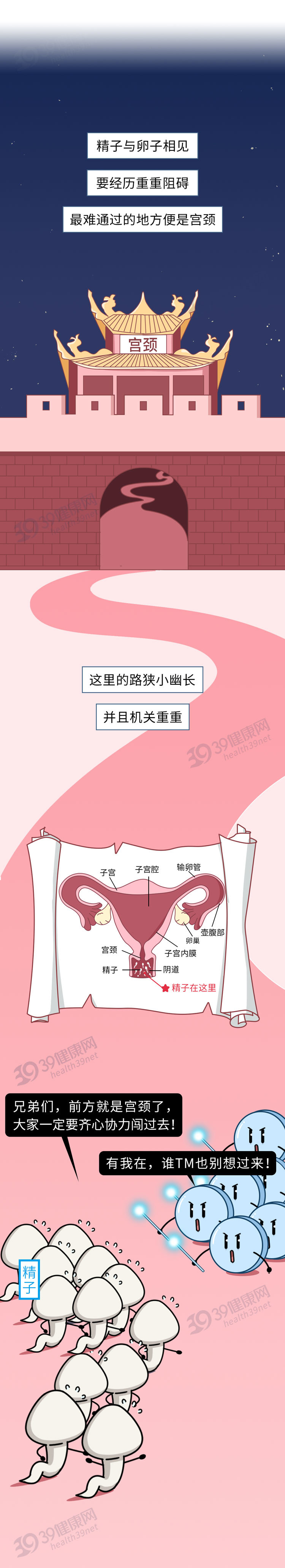 紧急避孕药和短效避孕药，有什么不同？了解过后“行事”更安全