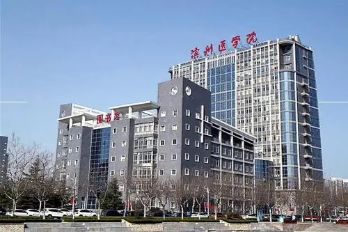 山东一所医学院或将晋升为“大学”，网友赞叹：本地学生有福了