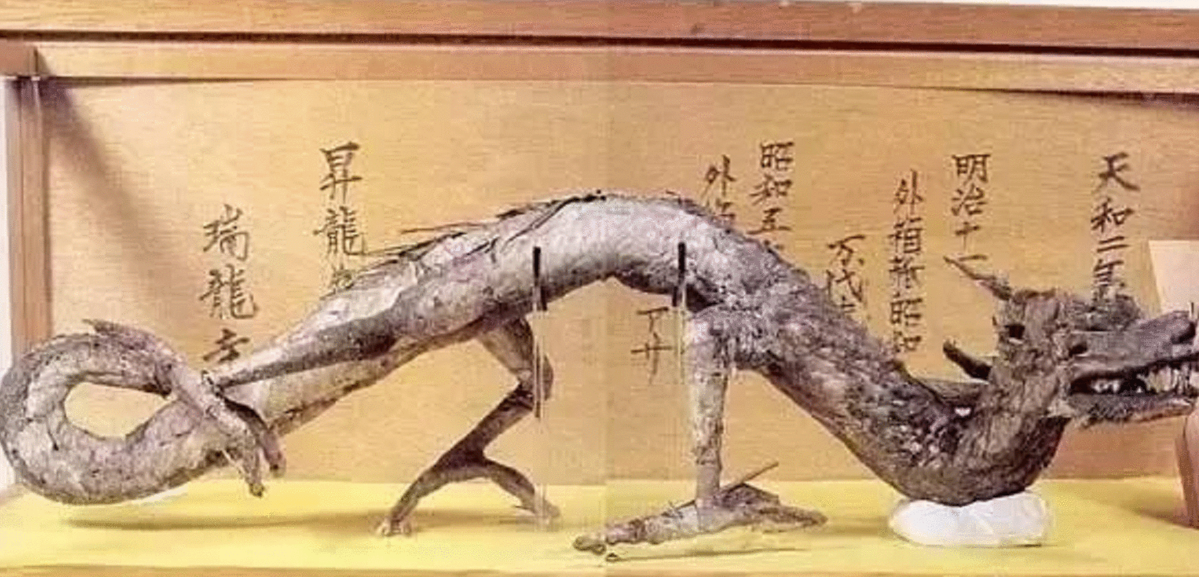 昆仑山真龙吃人照片(昆仑山龙吃人) - 武陵观察网