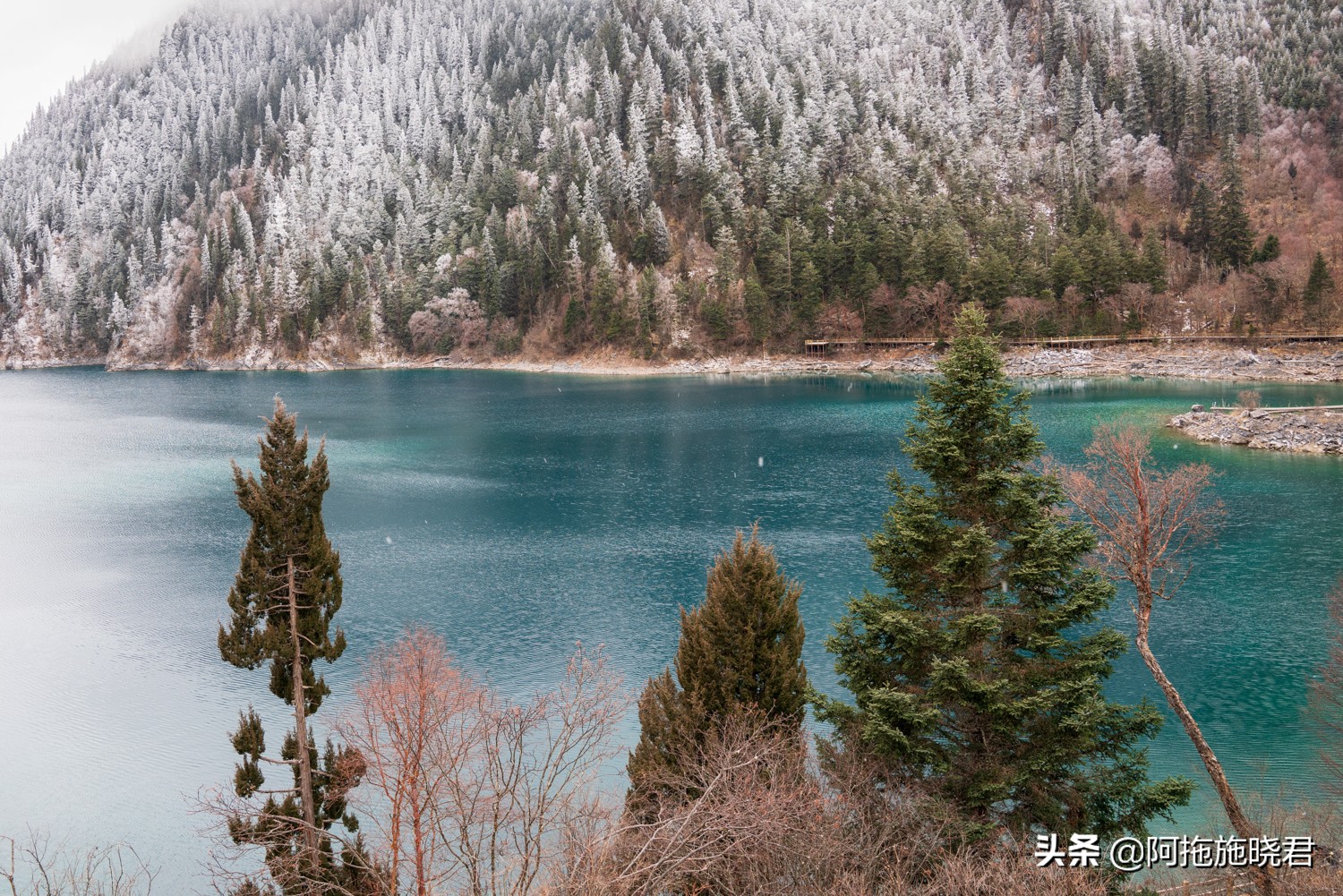 “此景只应天上有”，为之沉醉的九寨沟