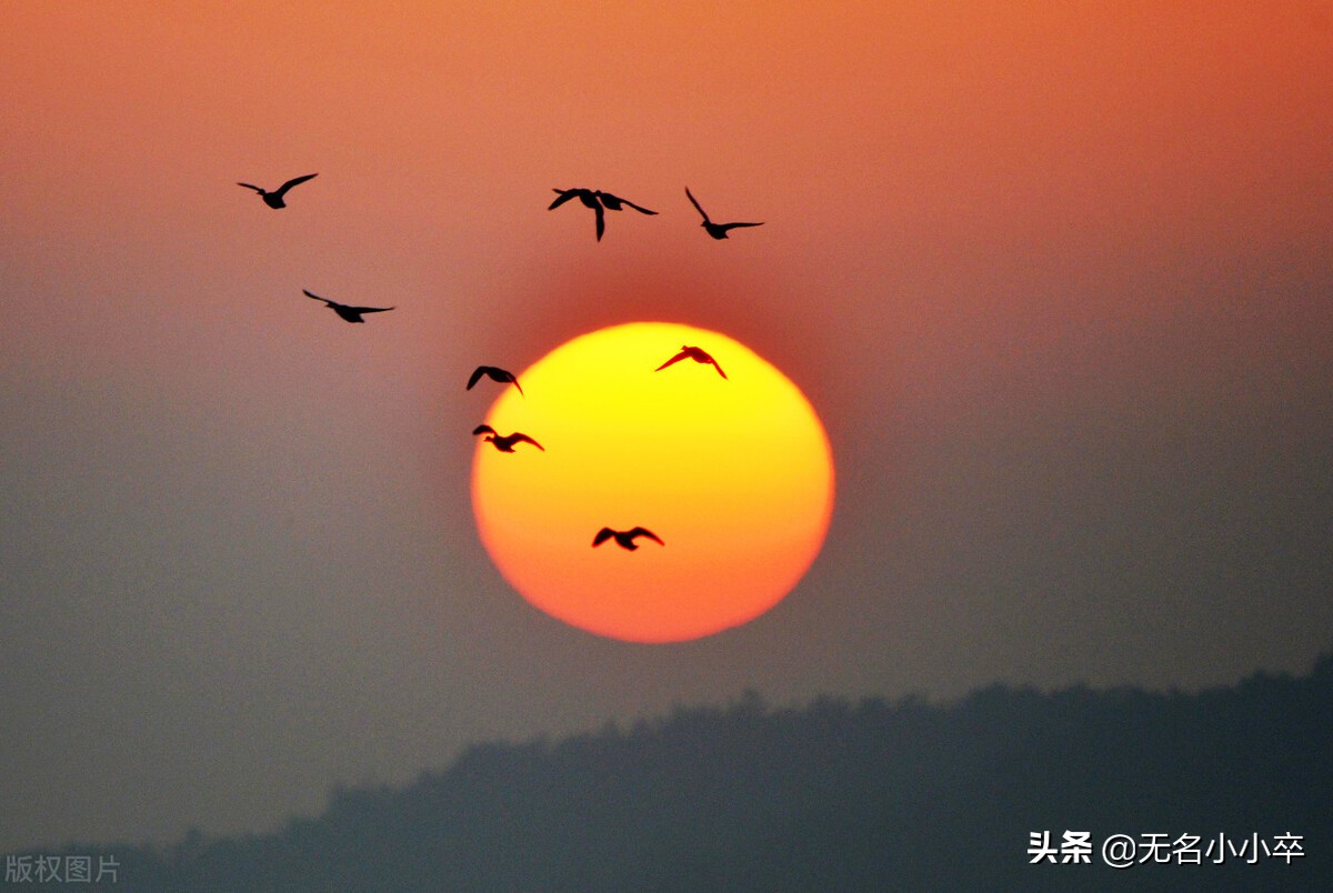 100个成语寓言故事