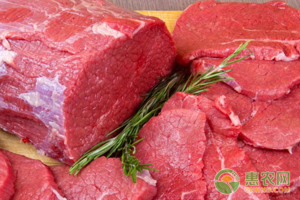 上海牛肉价格今日猪价「上海牛肉价格今日价」