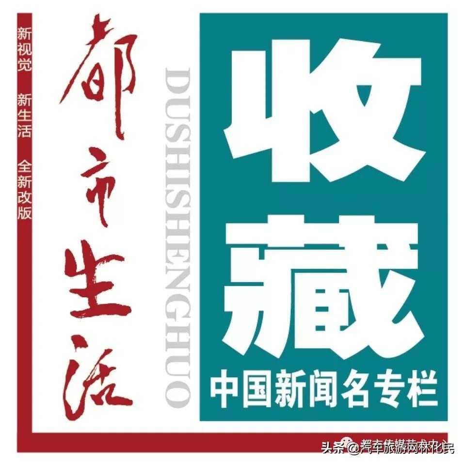 「都市传媒」墨彩化境丨杜石山水小品展在山东临沂隆重举行