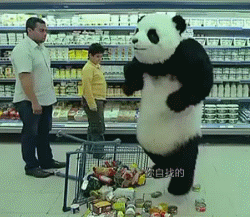fgnb是什么梗出自哪里(为什么中国网友最熟悉的表情是一只沙雕熊猫？)