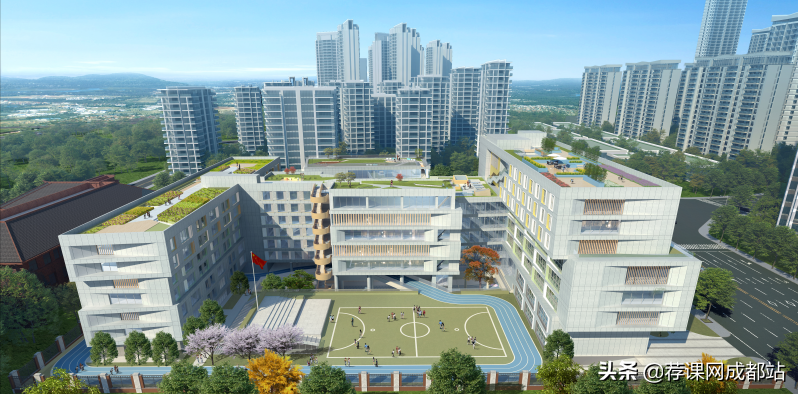 “直升”才是王炸！成都新进一贯制学校概览