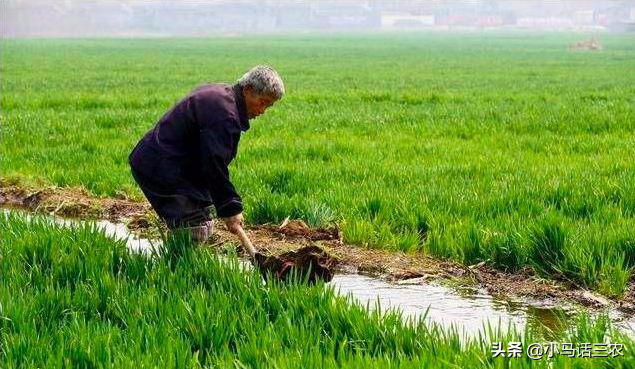 农村俗语“正月打雷，遍地出贼”是啥意思？老祖宗的话还在理吗？