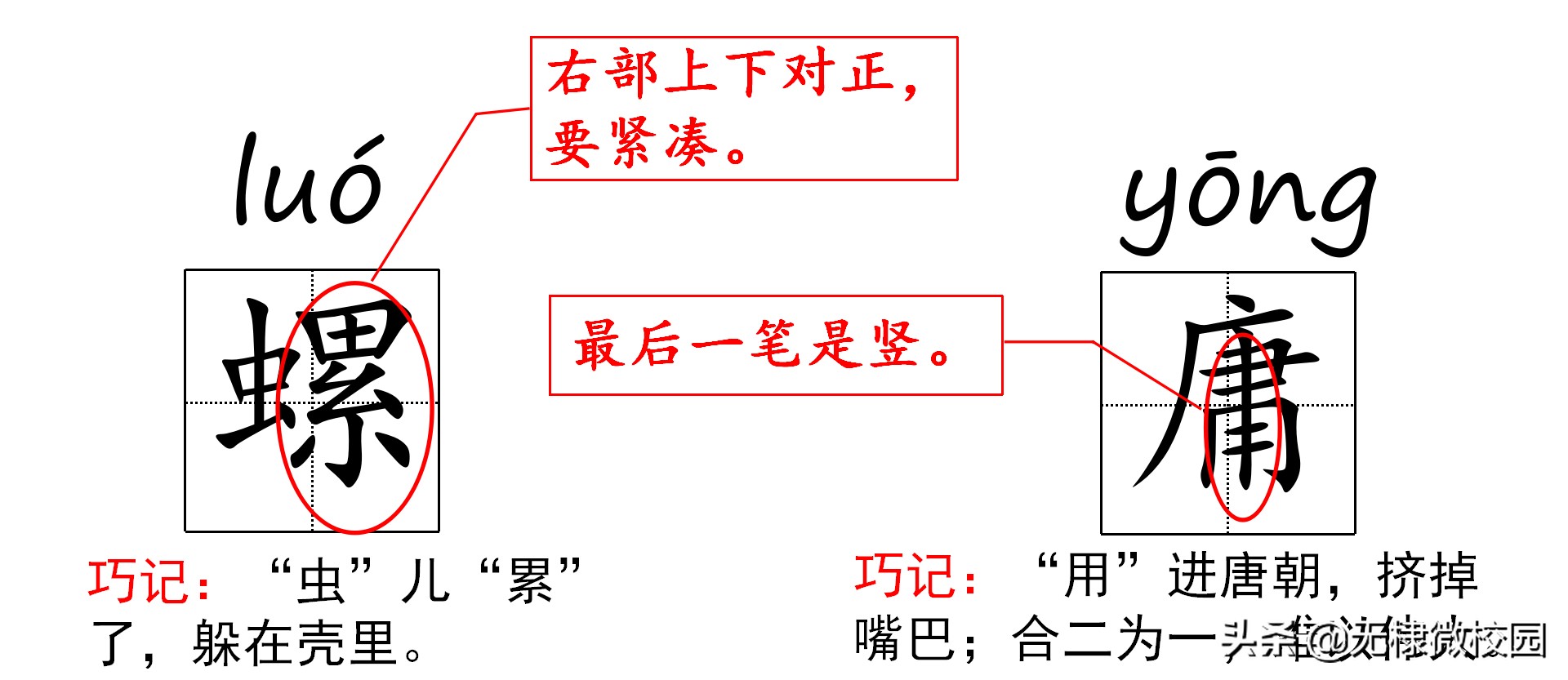 五年级语文下册22《手指》课文讲解、拓展延伸、巩固练习都全了