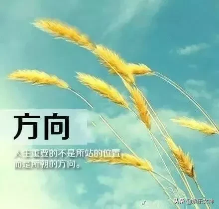 从来不跌倒不算光彩，每次跌倒后能再站起来，才是最大的荣耀