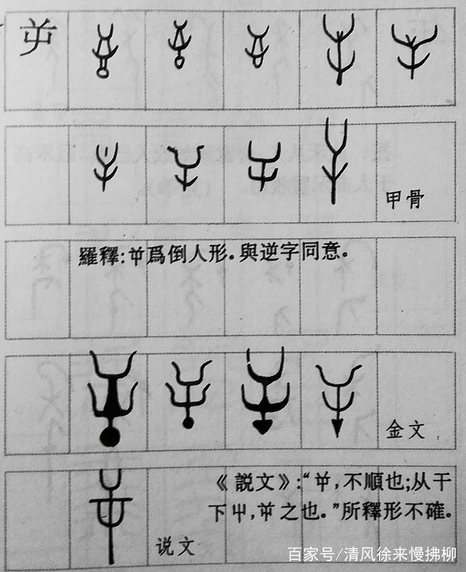 指事字有哪些 150个指事字对照表-朝阳百科