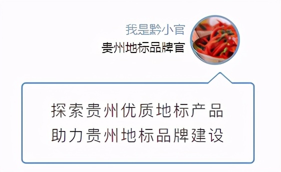 深度解读地理标志