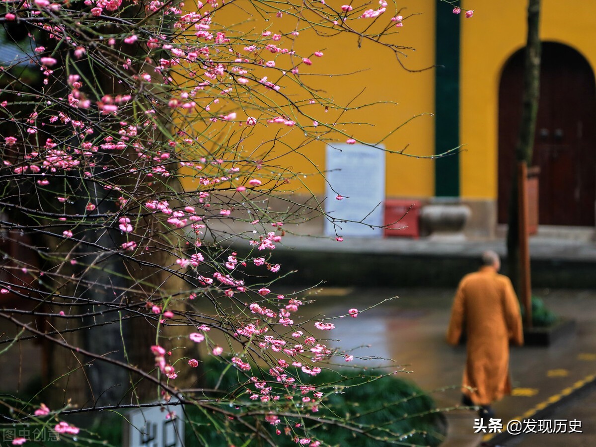 苏轼游玩时一首诗，不仅景色美，还写出了千古人生哲理