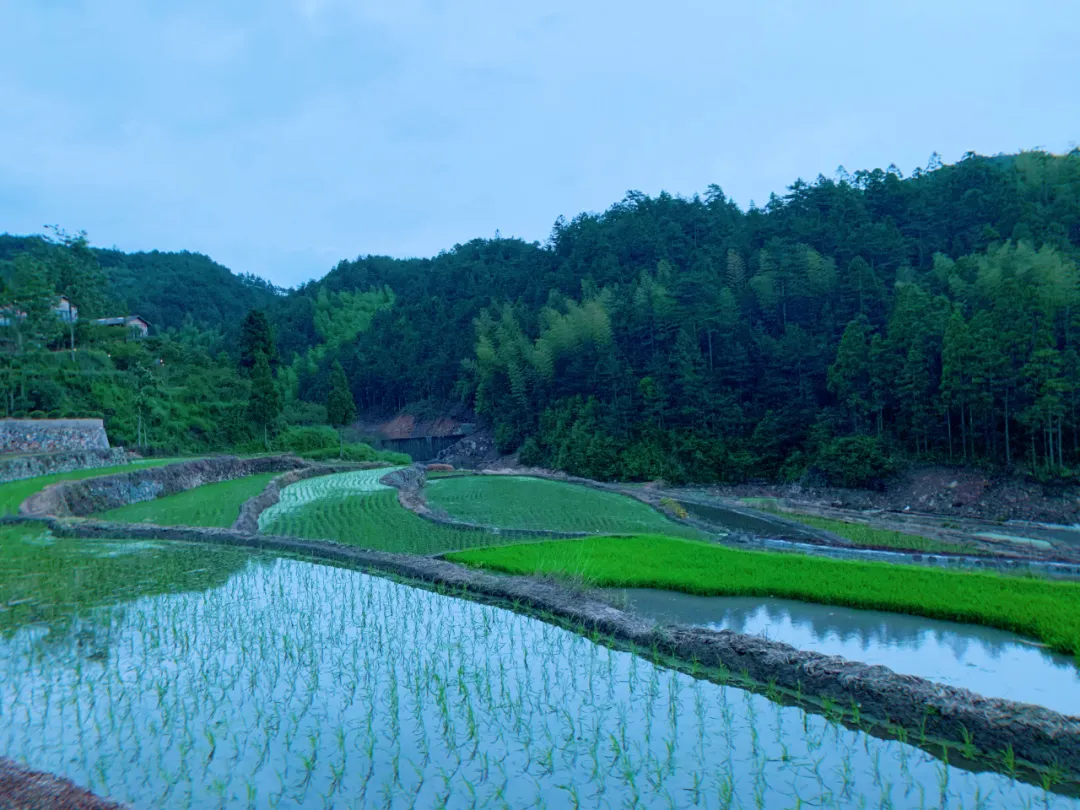 「宁德寿宁·梦龙天池」夏日避暑民宿，睡进湖光山色里