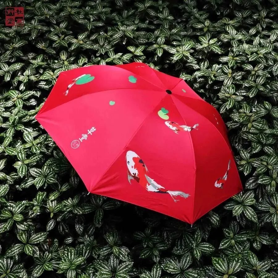 秋雨绵绵|执伞细雨中,漫步草堂间