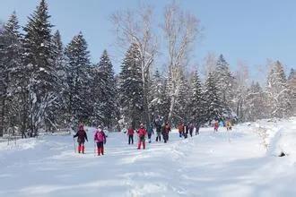 苏北杨末侣行记（10）：林海雪原徒步穿越，亚布雪道激情滑雪