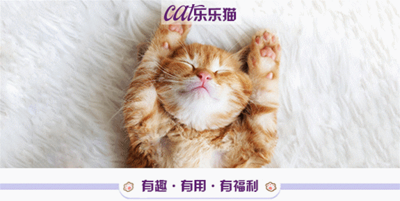 知识贴：猫咪应激反应有什么症状，该怎么应对和预防？