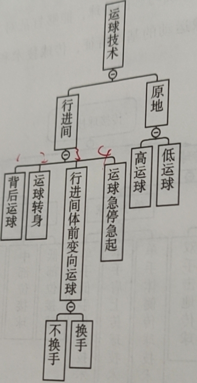 篮球比赛中有多少种时间比例(硬核科普~  篮球运动的主要技术、战术)