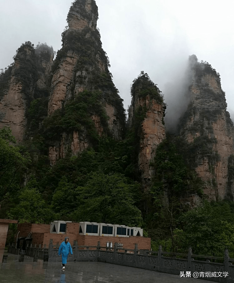 雨中神怡张家界，飞天索道奔险峰