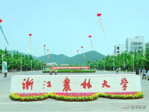 在杭高校有哪些？