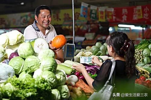 卖菜注意这几点，年入几十万不是梦！