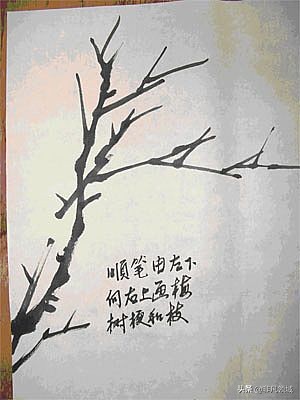 中国画写意花鸟画入门大全