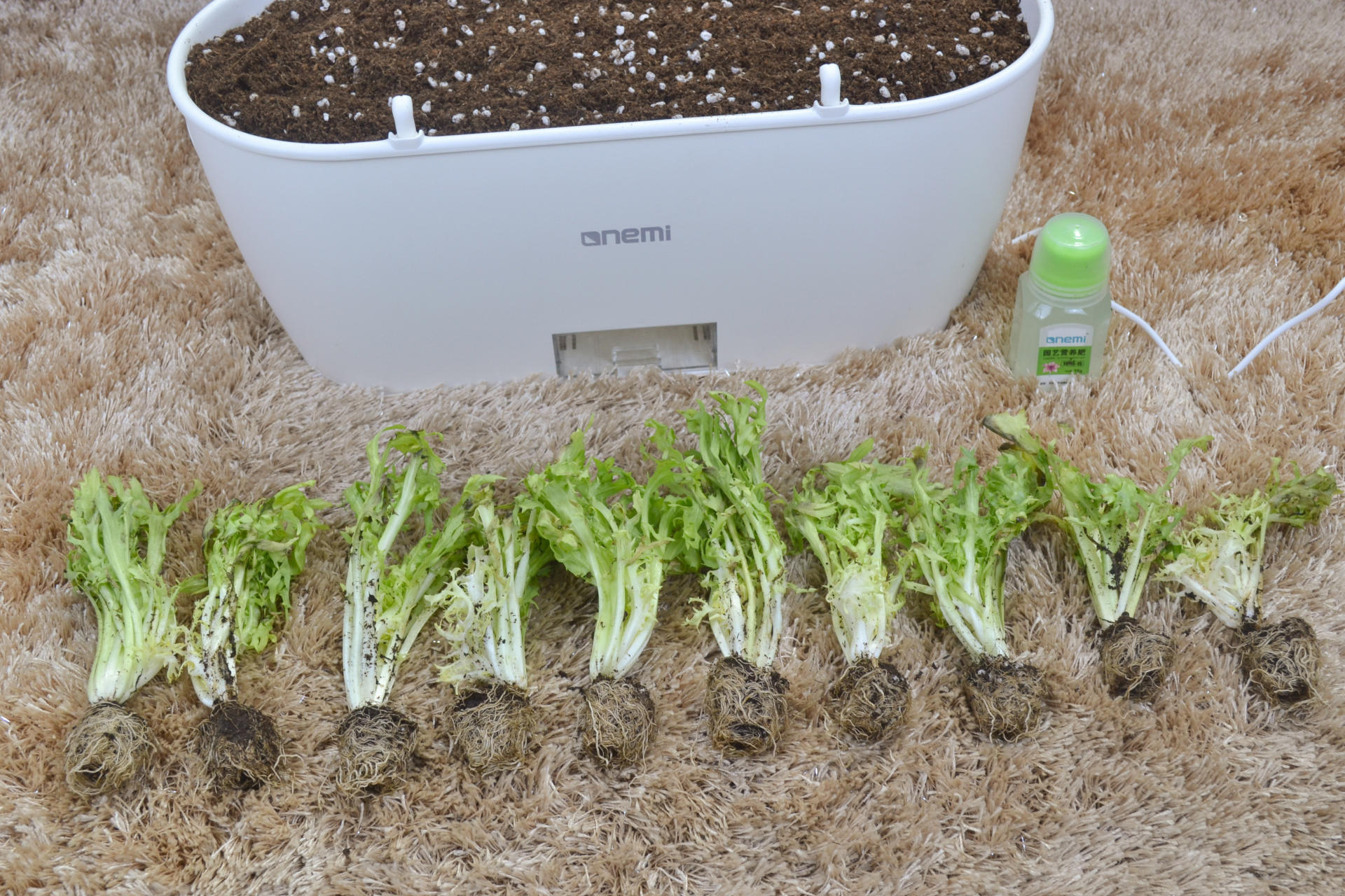 陪孩子上堂种植课：一米田智能种植伴侣