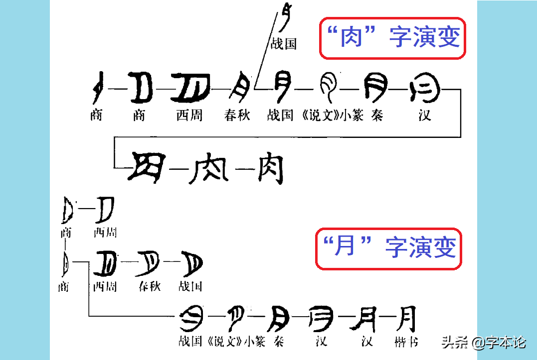 月字旁的字有哪些 月字旁的字一年级下册-有深度有内涵的一个小网站