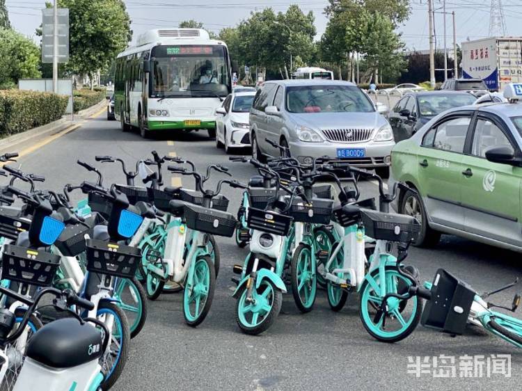 半岛独家丨太壮观！数千辆共享电动自行车藏身立交桥下！网友发问：危险不？车牌呢？