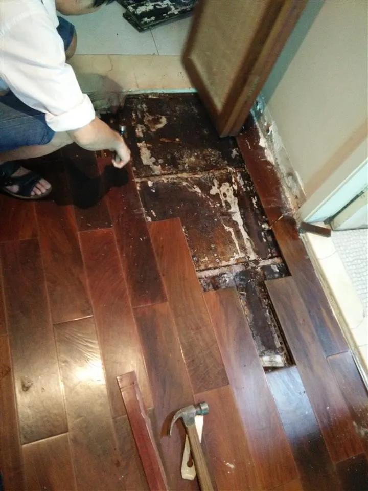 地板出现起拱，这样处理方便简单，而且还不求人